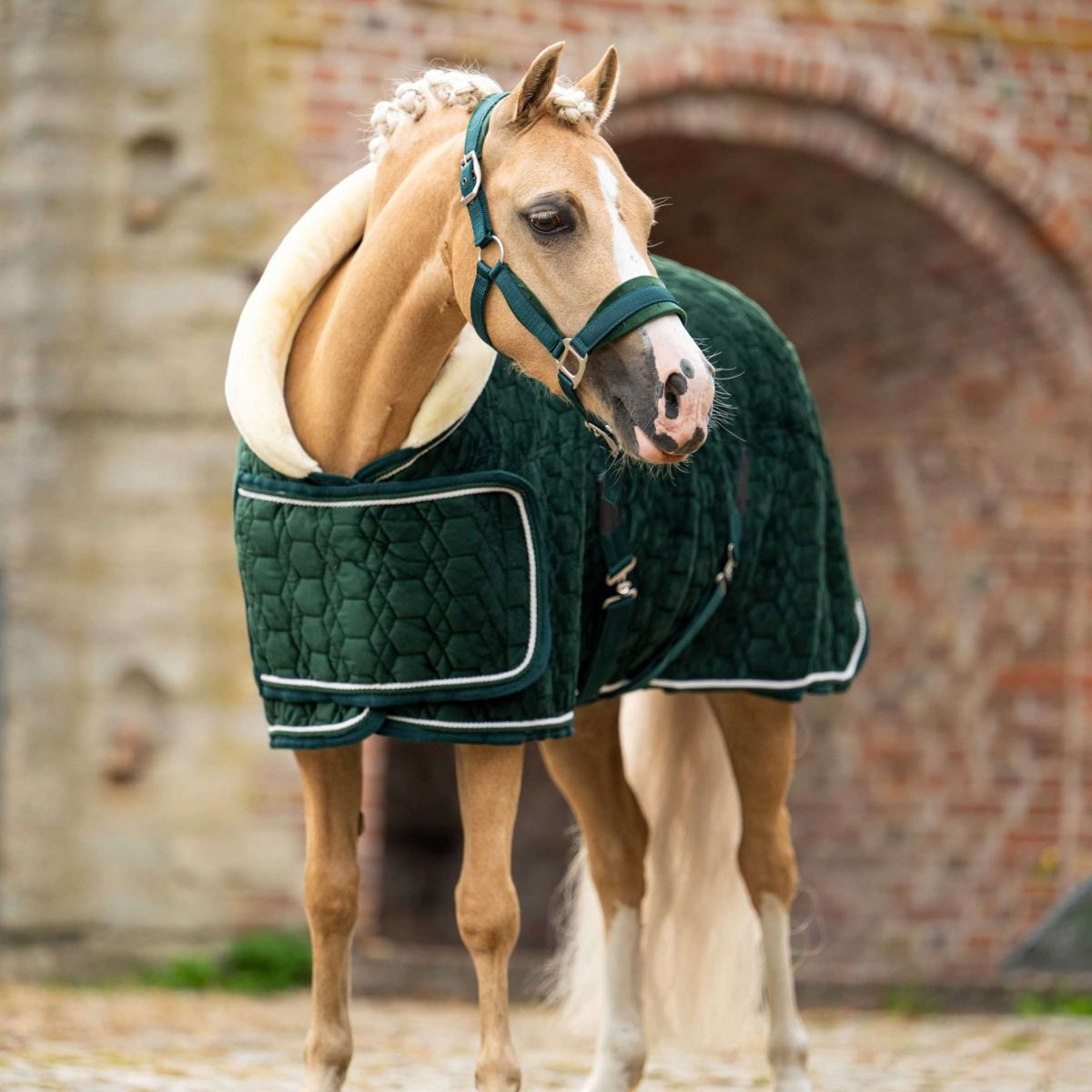 HB Ruitersport Show Rug Special Peach Forest Green