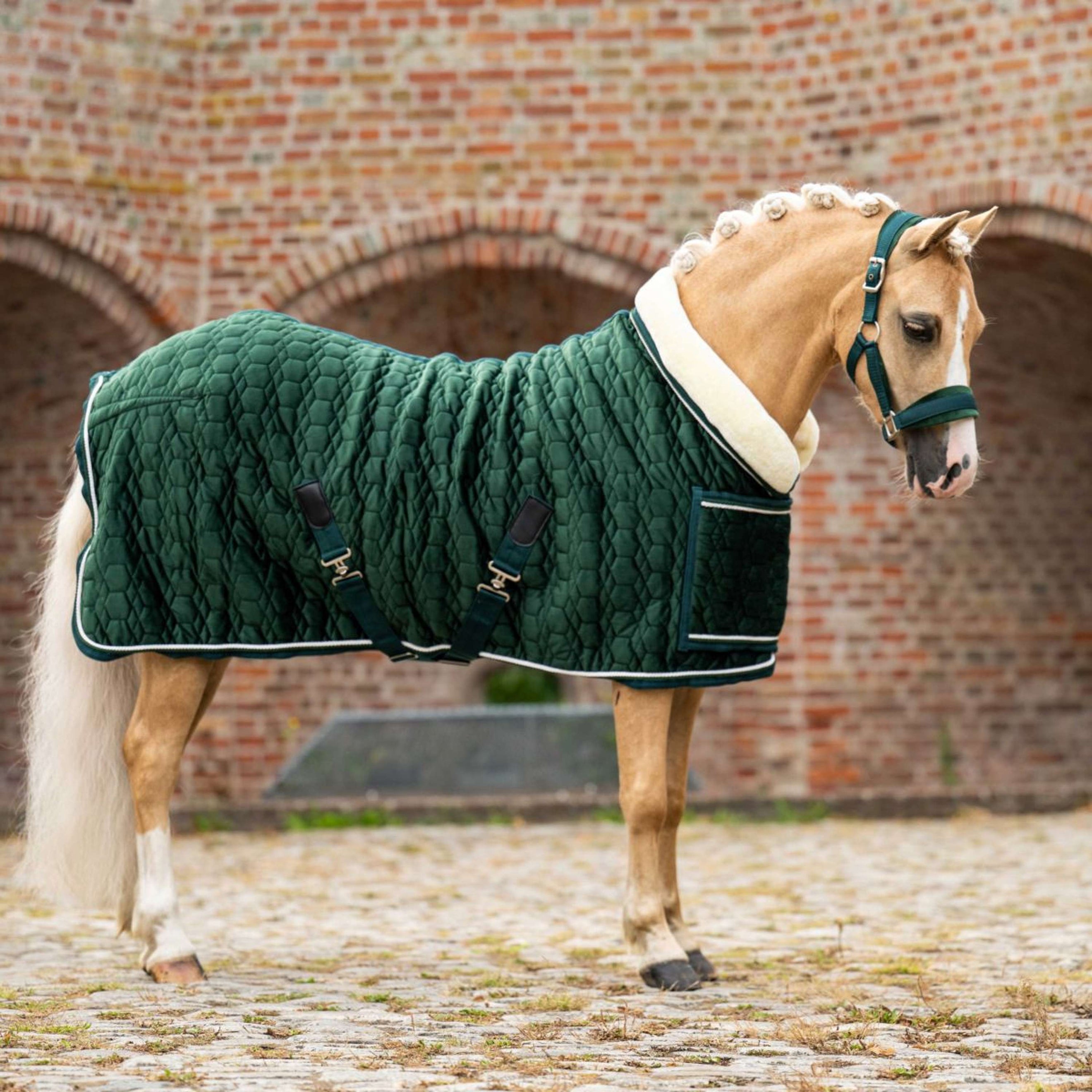HB Ruitersport Show Rug Special Peach Forest Green HB Ruitersport Show Rug Special Peach Forest Green