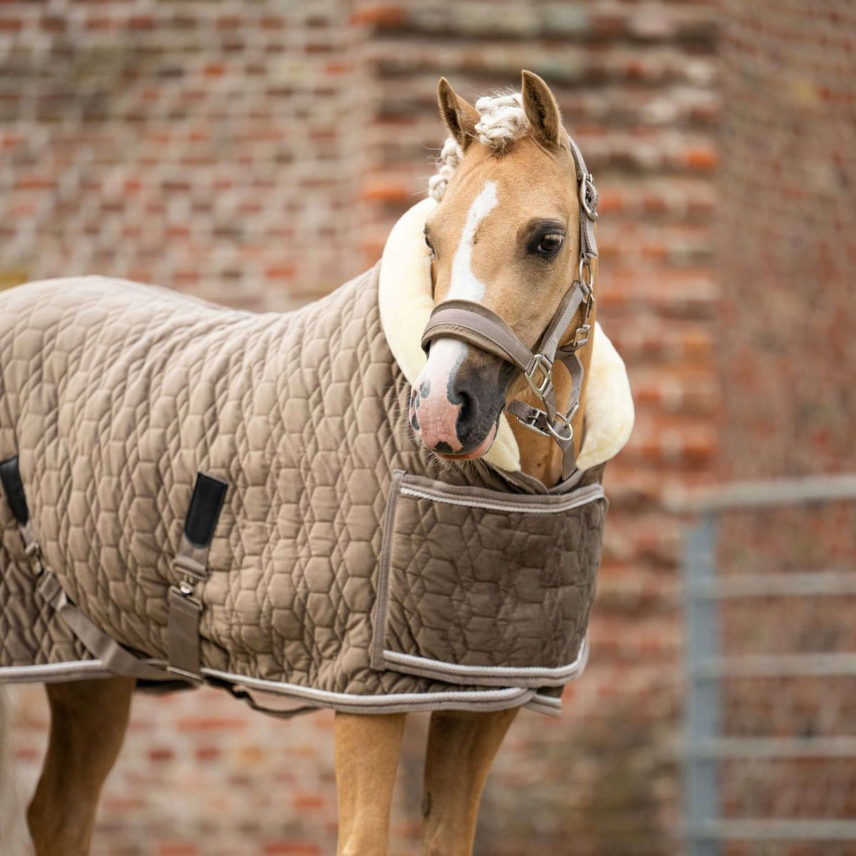 HB Ruitersport Show Rug Special Peach Taupe