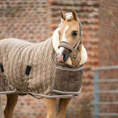 HB Ruitersport Show Rug Special Peach Taupe