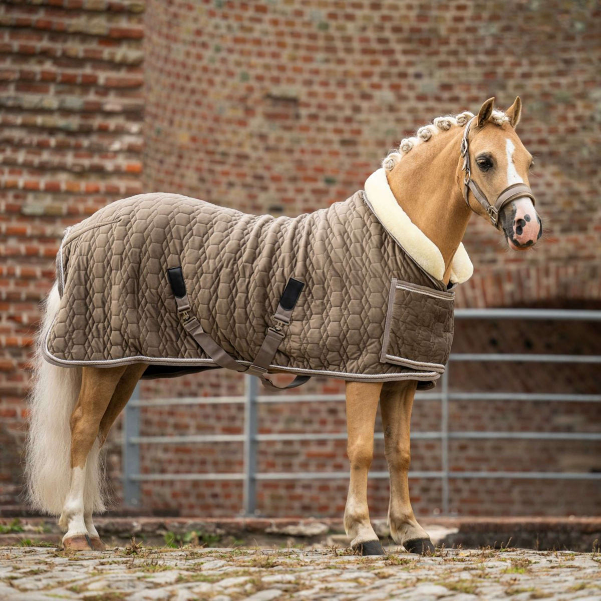 HB Ruitersport Show Rug Special Peach Taupe