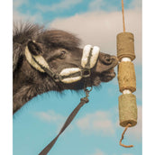 Herbie Herbal Wooden Toy Regeneration