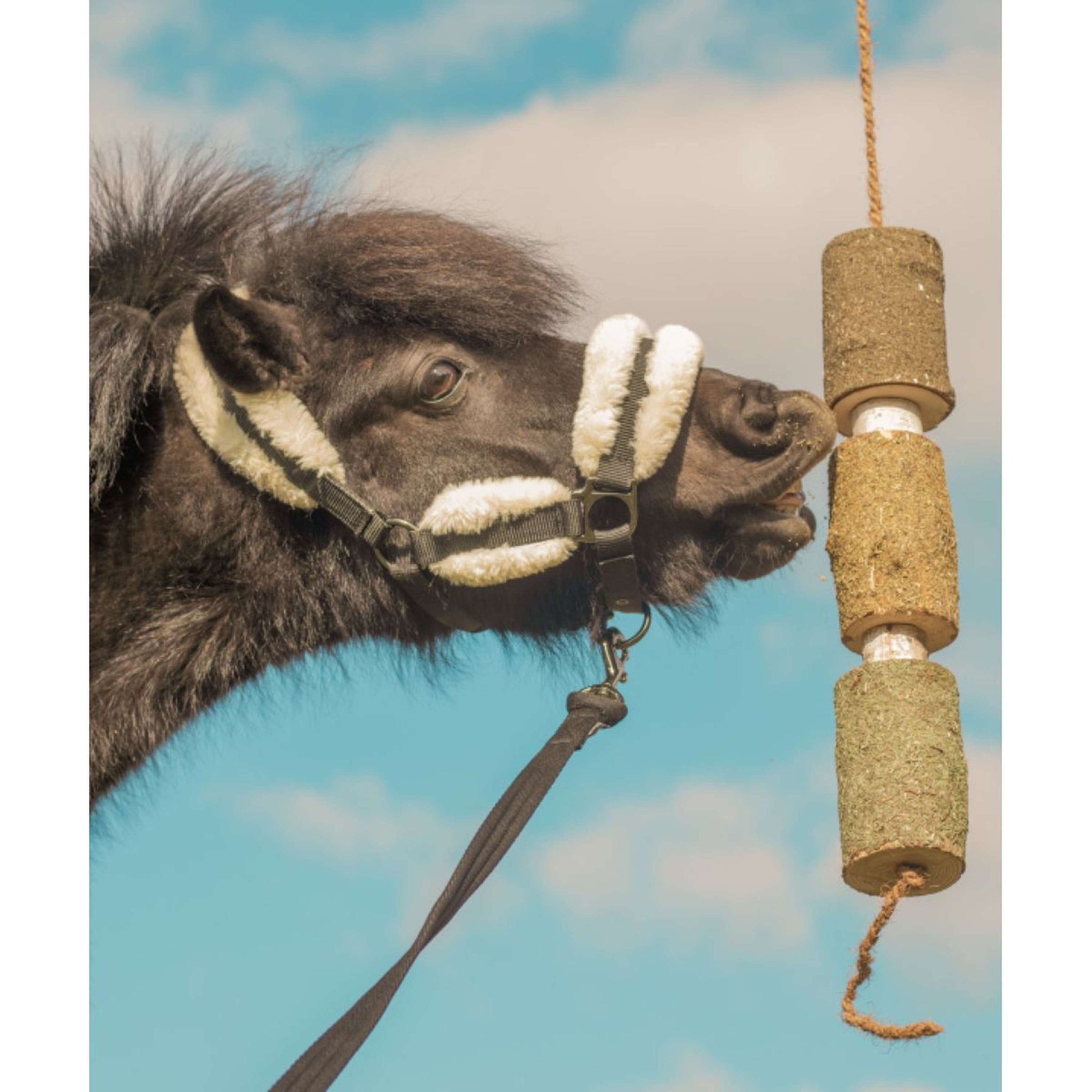 Herbie Herbal Wooden Toy Regeneration