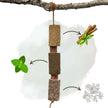 Herbie Herbal Wooden Toy Regeneration