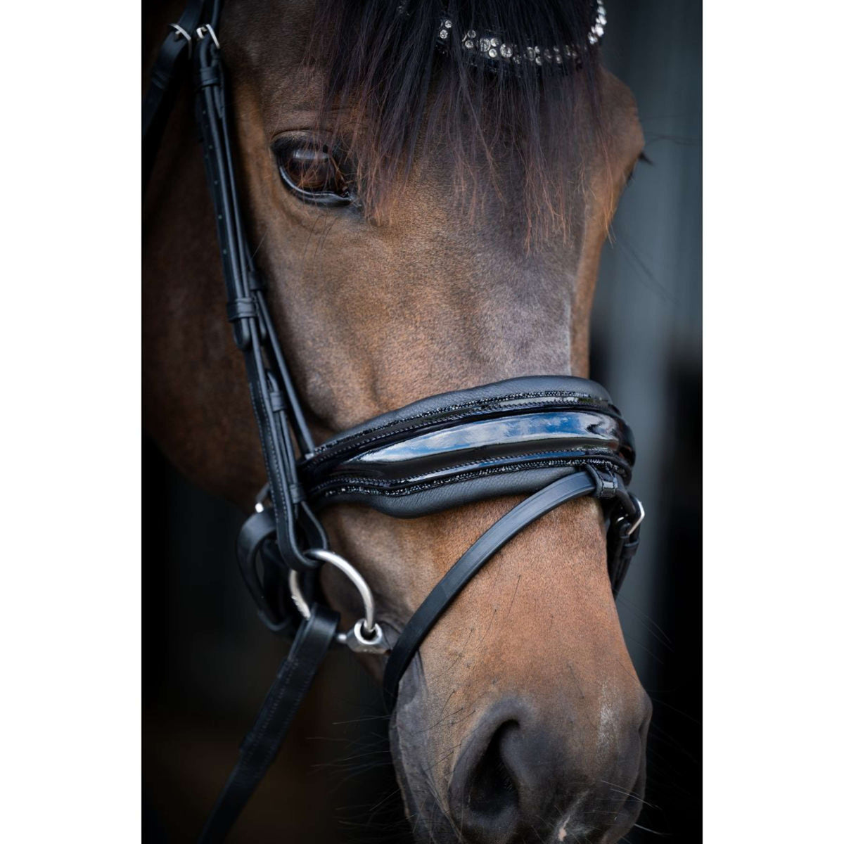 HB Bridle Showtime Stockholm Black/Black