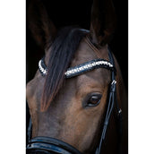 HB Bridle Showtime Stockholm Black/Black