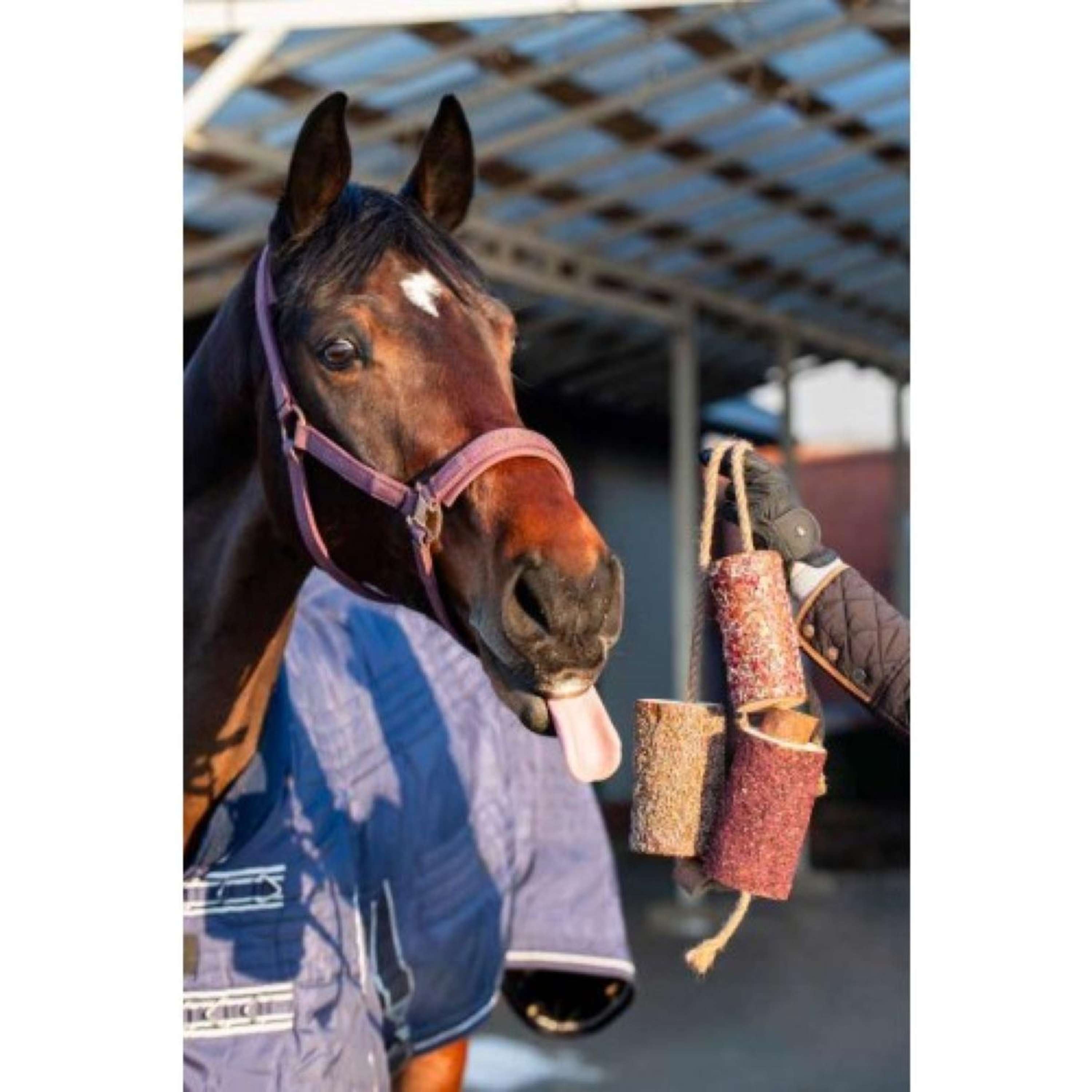 Candy Horse Love Chewing Toy Vol Liefde
