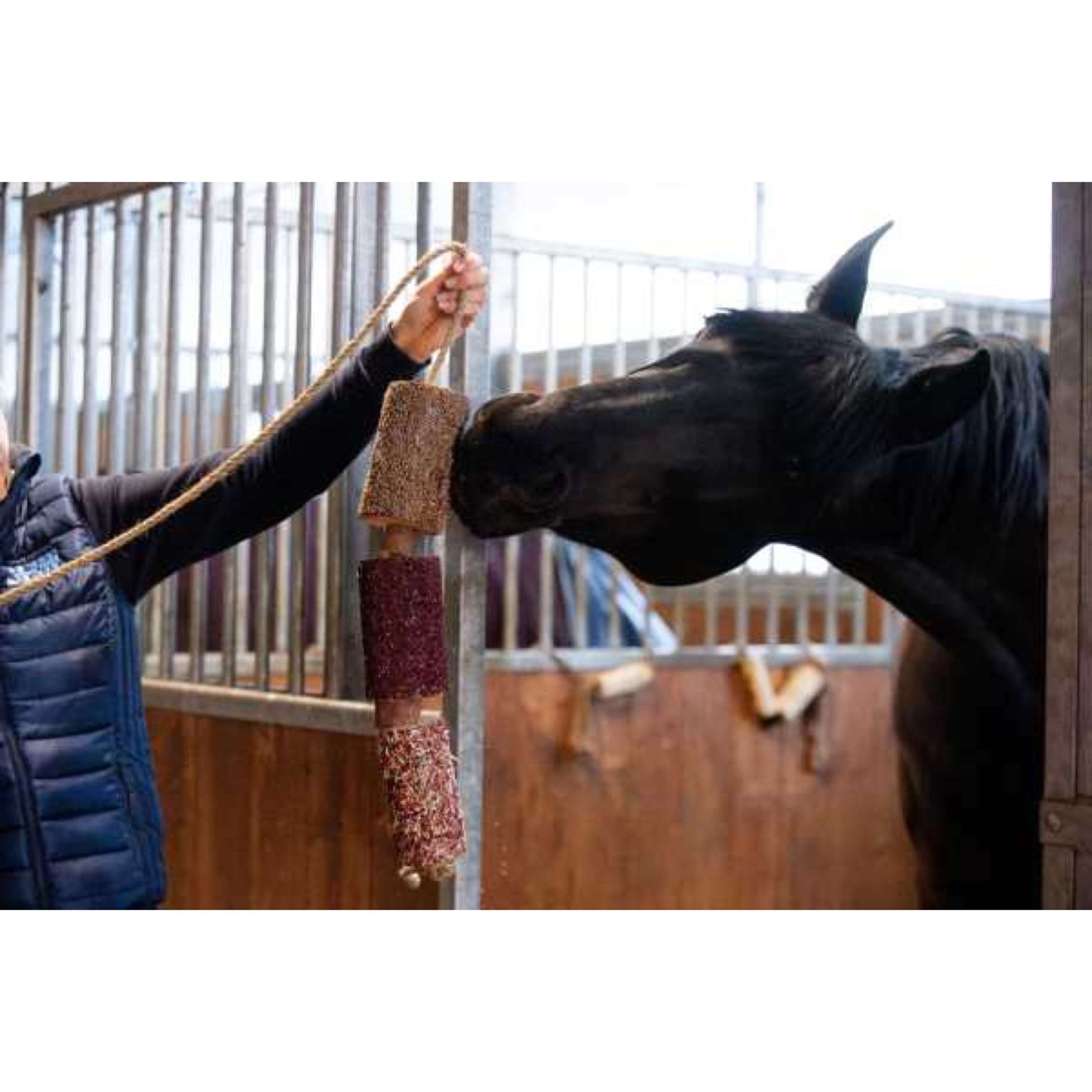 Candy Horse Love Chewing Toy Vol Liefde