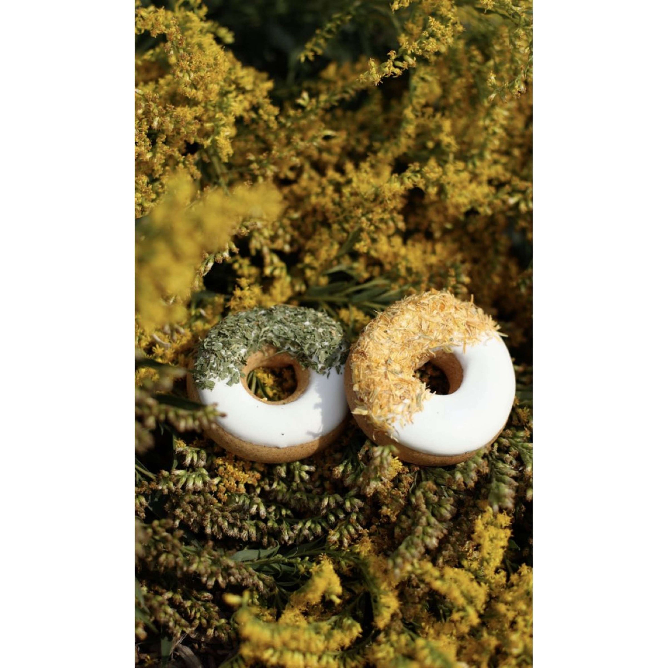 Candy Horse Donut Parsley/Calendula Candy Horse Donut Parsley/Calendula