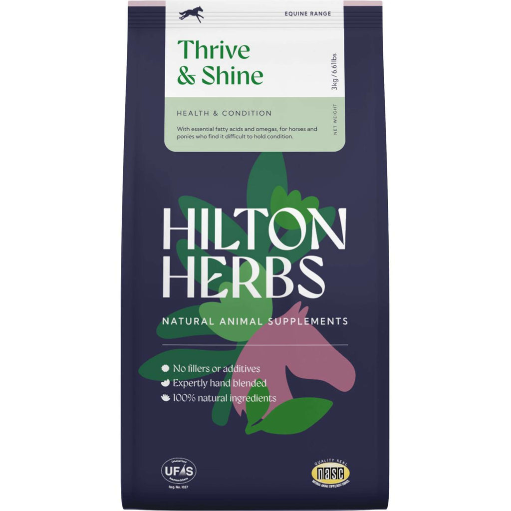 Hilton Thrive & Shine