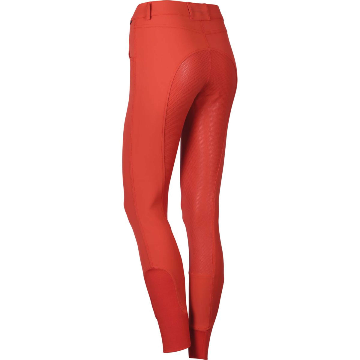 Harry's Horse Breeches Turanga Full Grip terracotta