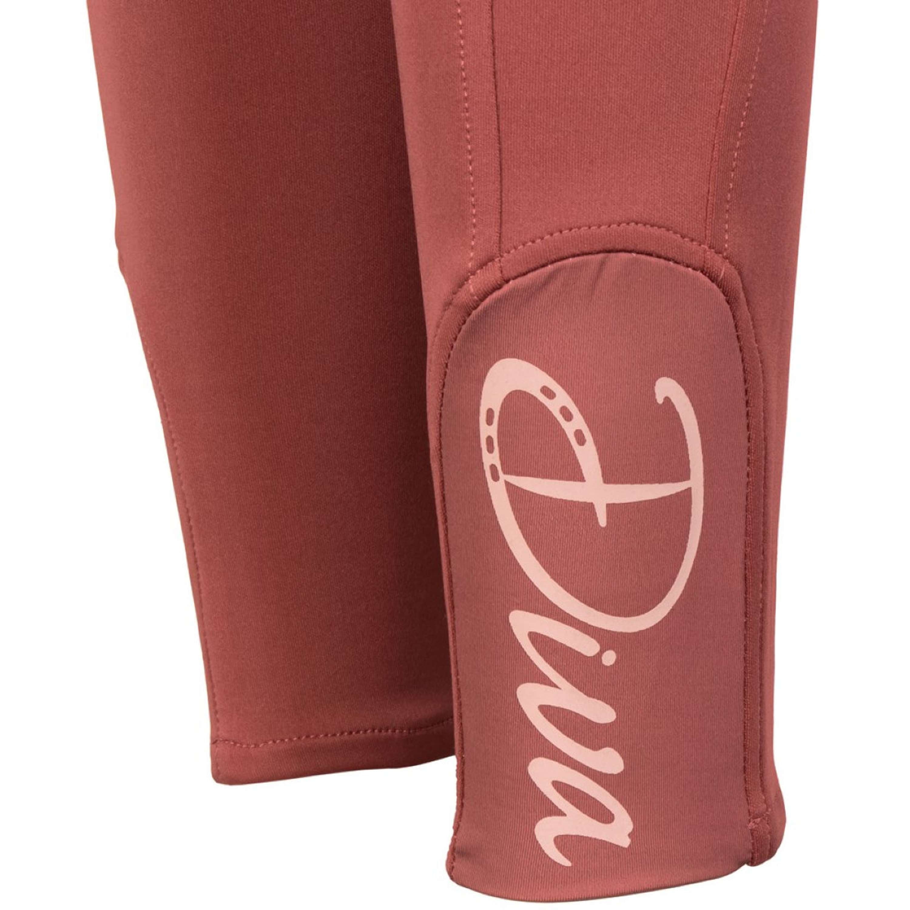 Harry's Horse Riding Legging Equitights Diva Mauvewood Full Grip Mauvewood