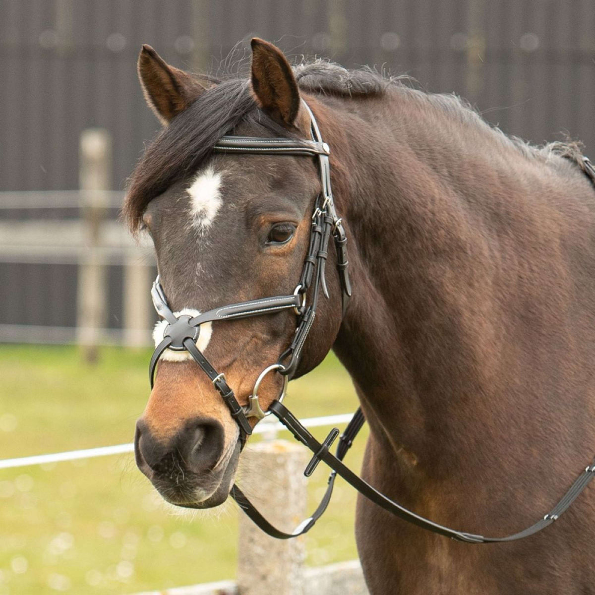 Harry's Horse Mexican Bridle Black