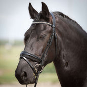 Harry's Horse Bridle Diamond Lacque Black