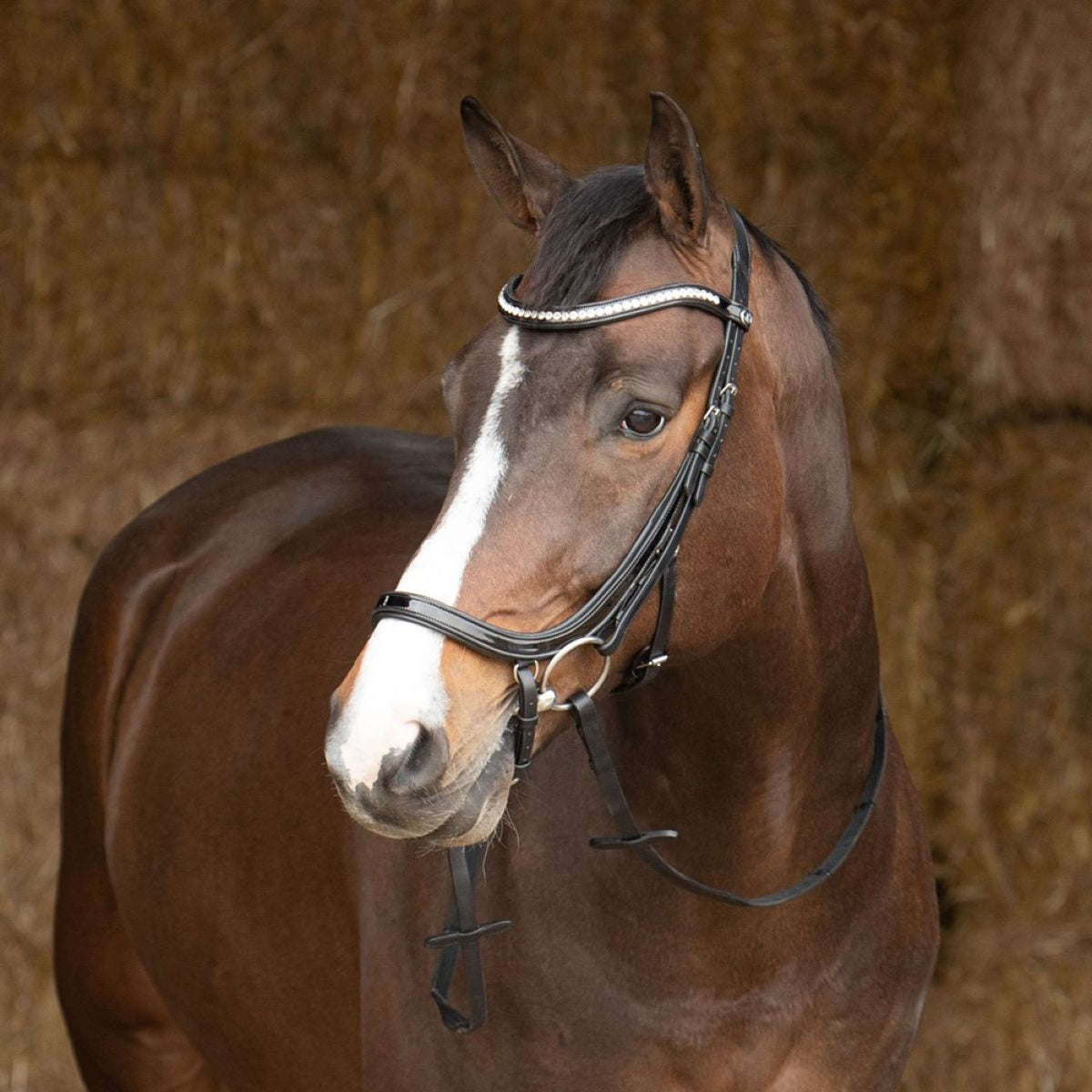 Harry's Horse Bridle Anatomic Lacque