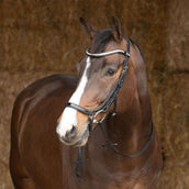 Harry's Horse Bridle Anatomic Lacque