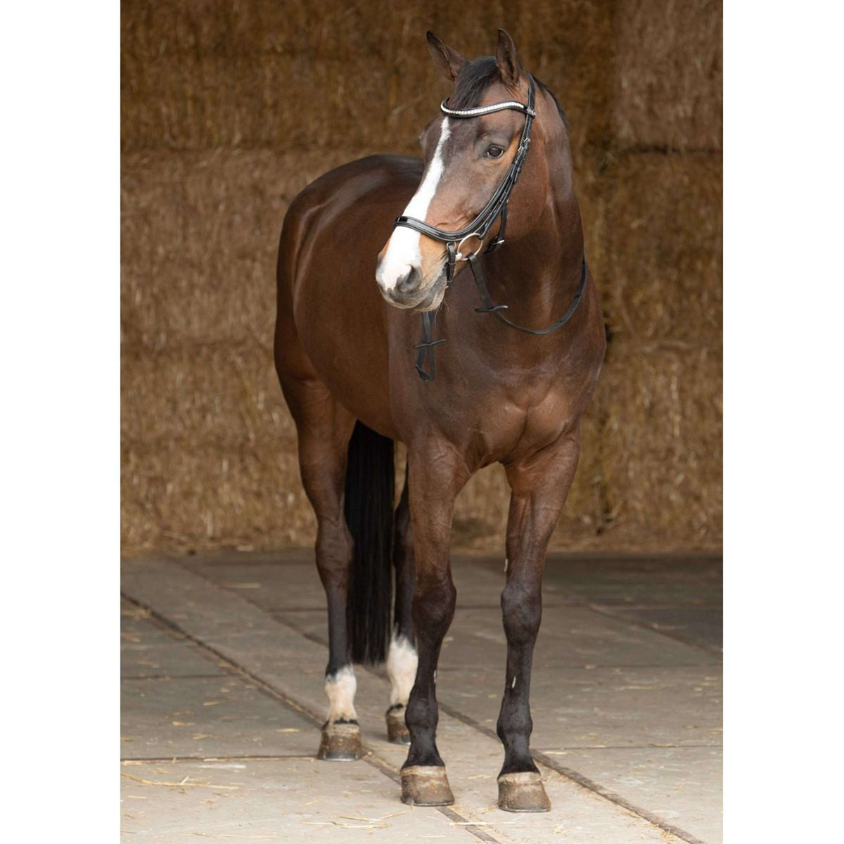 Harry's Horse Bridle Anatomic Lacque Black