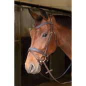 Harry's Horse Bridle Havanna Navy Brown