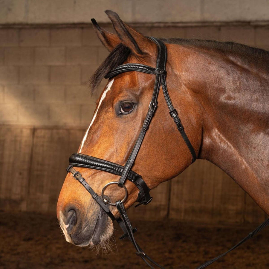 Harry's Horse Bridle Soft Carbon Black Edition Black