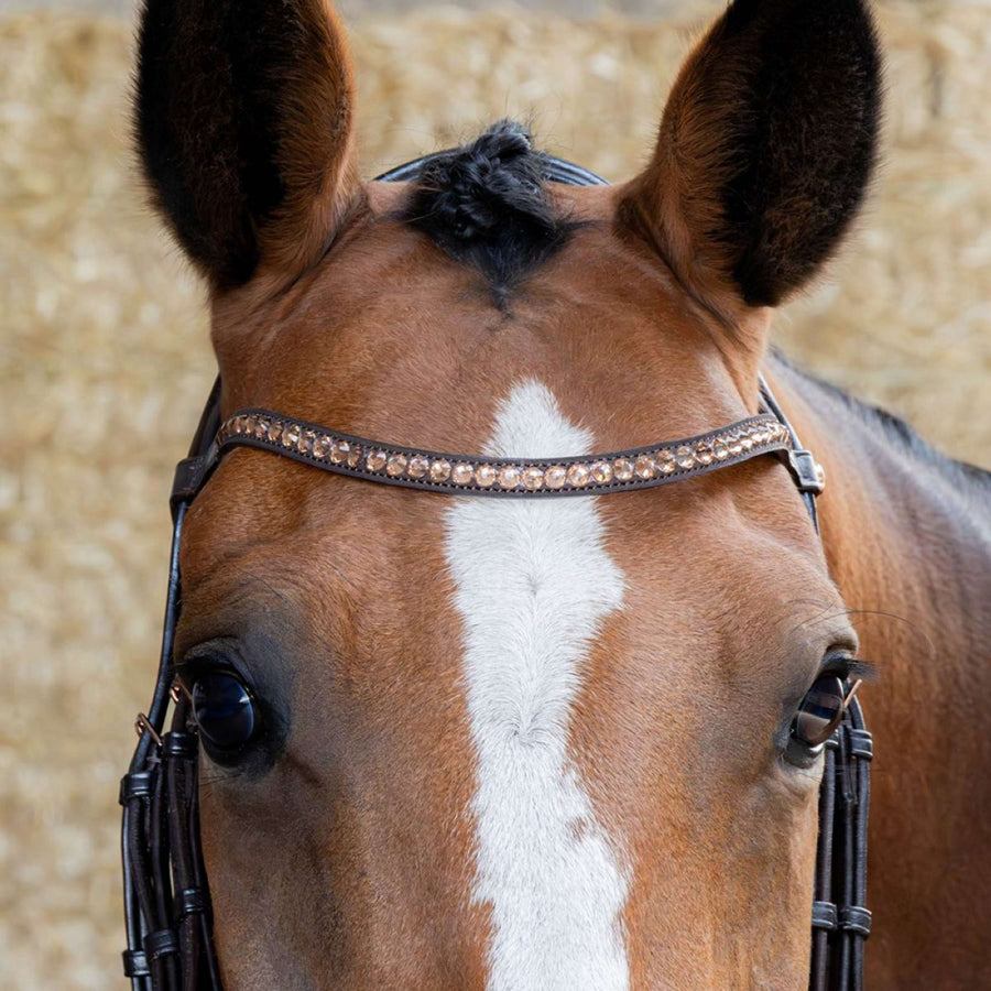 Harry's Horse Bridle Copper Brown