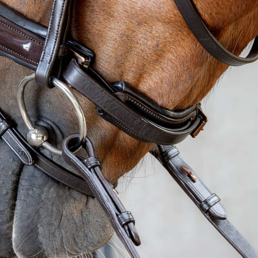 Harry's Horse Bridle Copper Brown