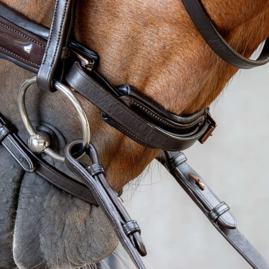 Harry's Horse Bridle Copper Brown