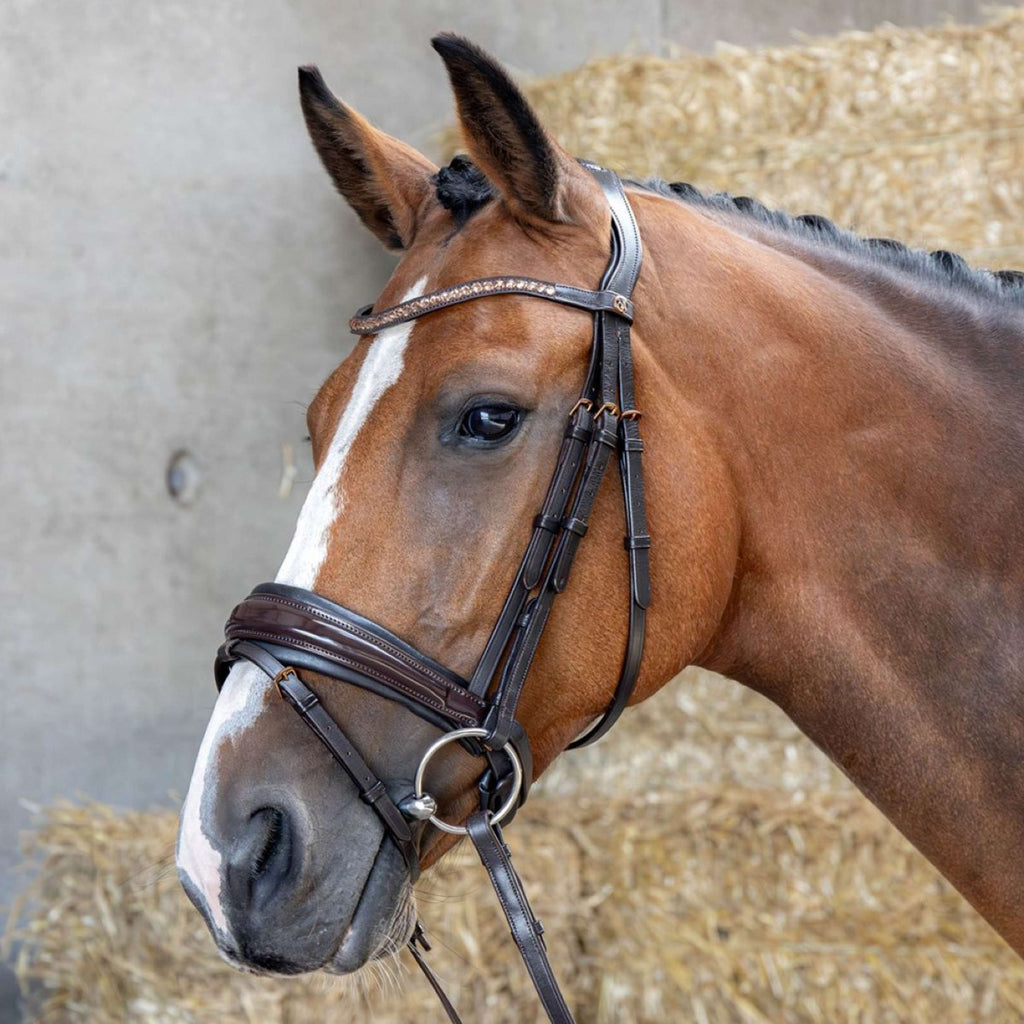 Harry's Horse Bridle Copper Brown