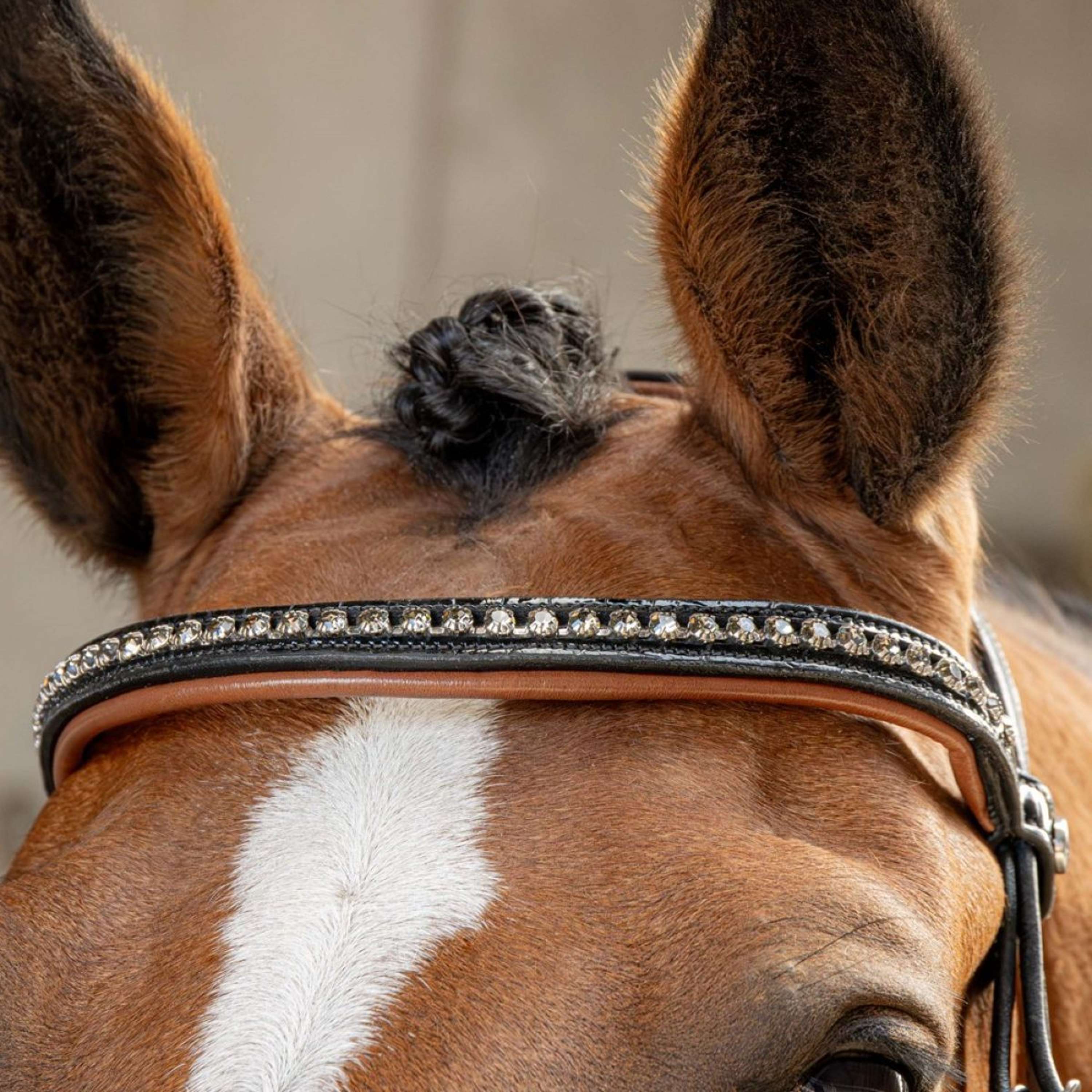 Harry's Horse Bridle Black Cognac Black