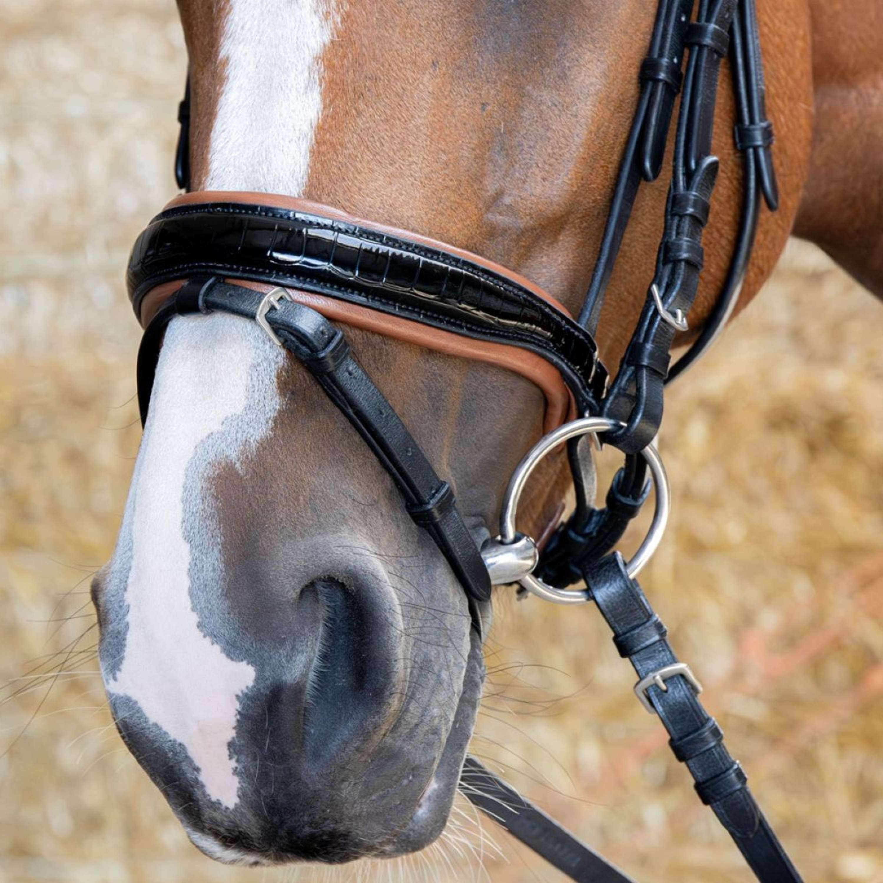 Harry's Horse Bridle Black Cognac Black