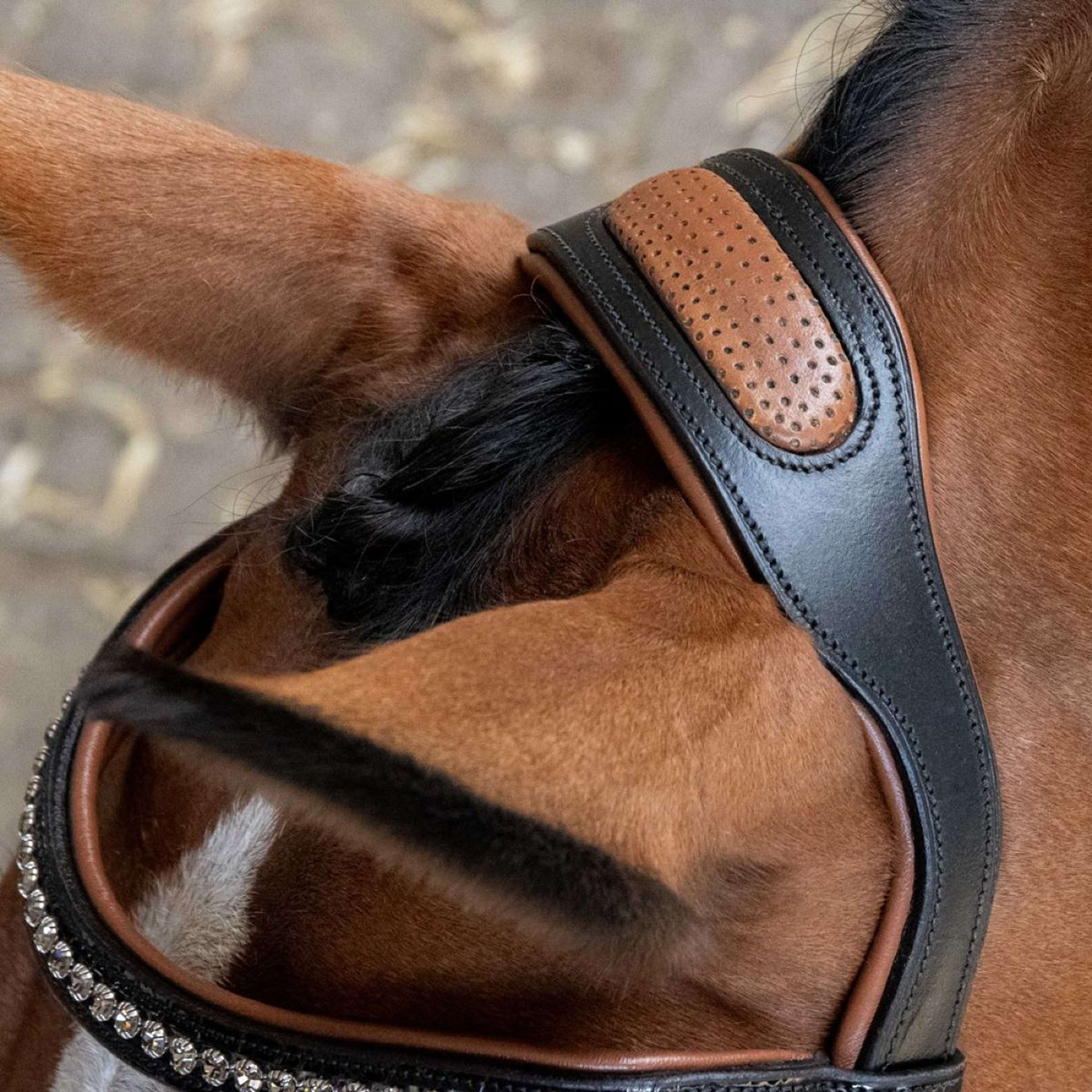 Harry's Horse Bridle Black Cognac Black