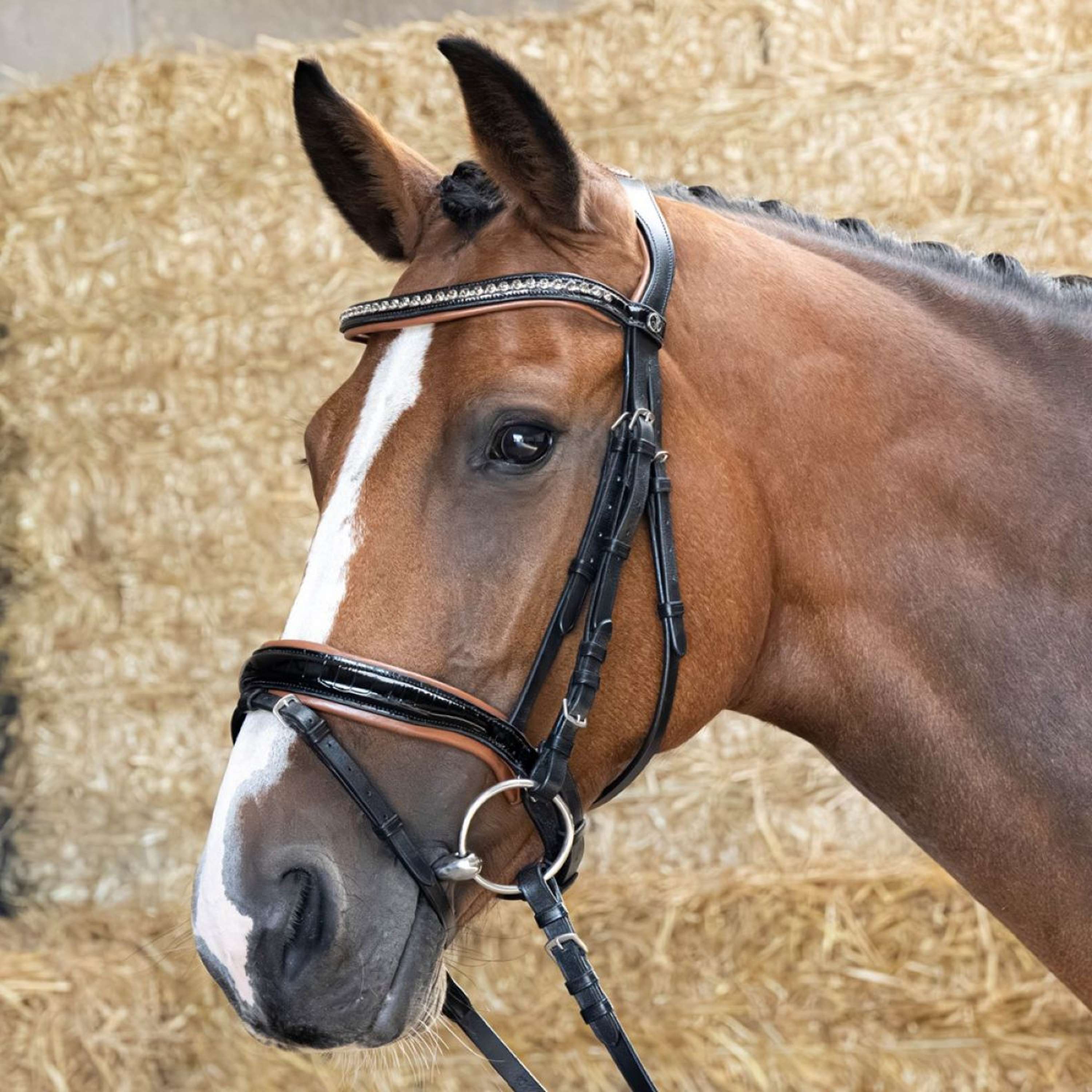 Harry's Horse Bridle Black Cognac Black