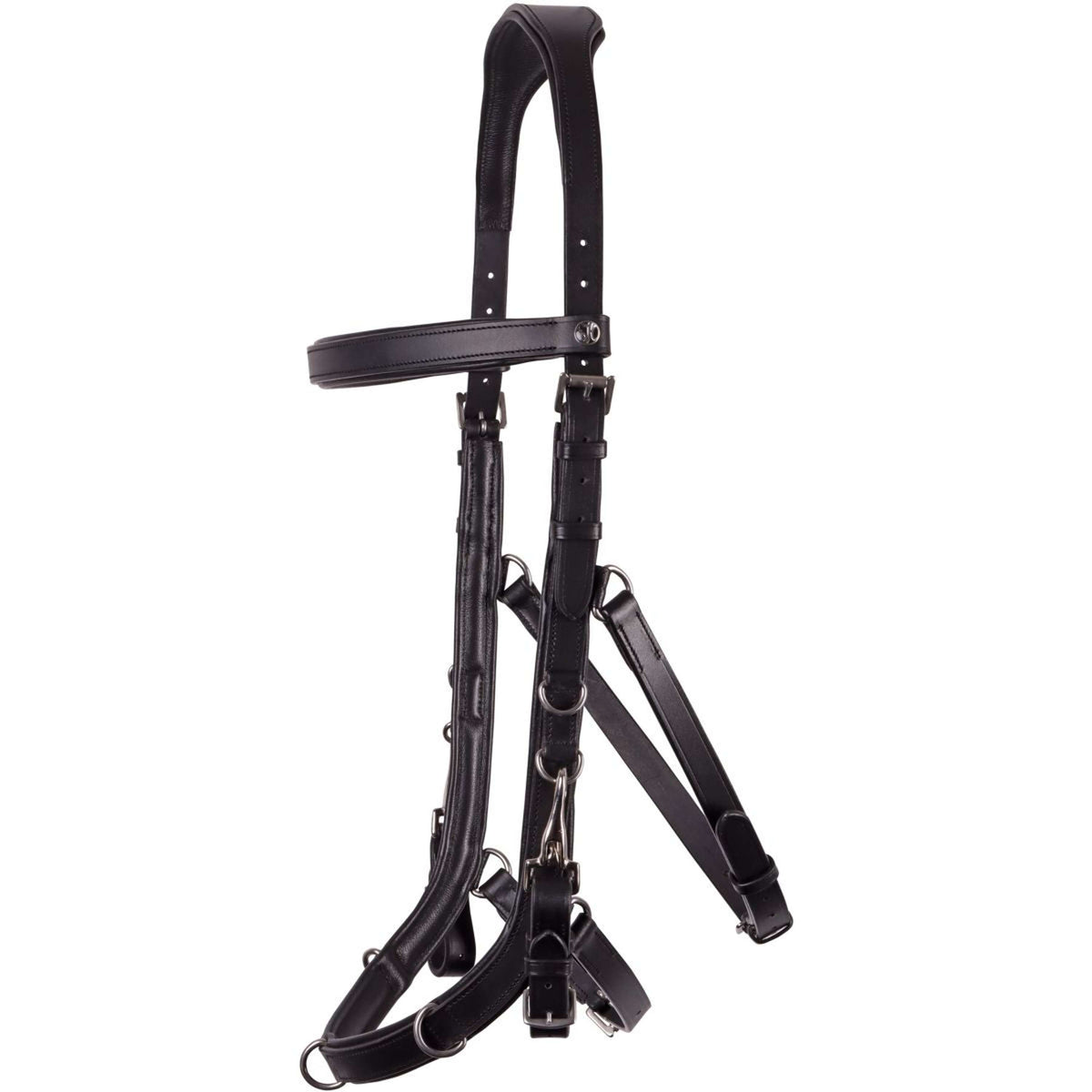 Harry's Horse Lunge Bridle Leder Anatomic Black