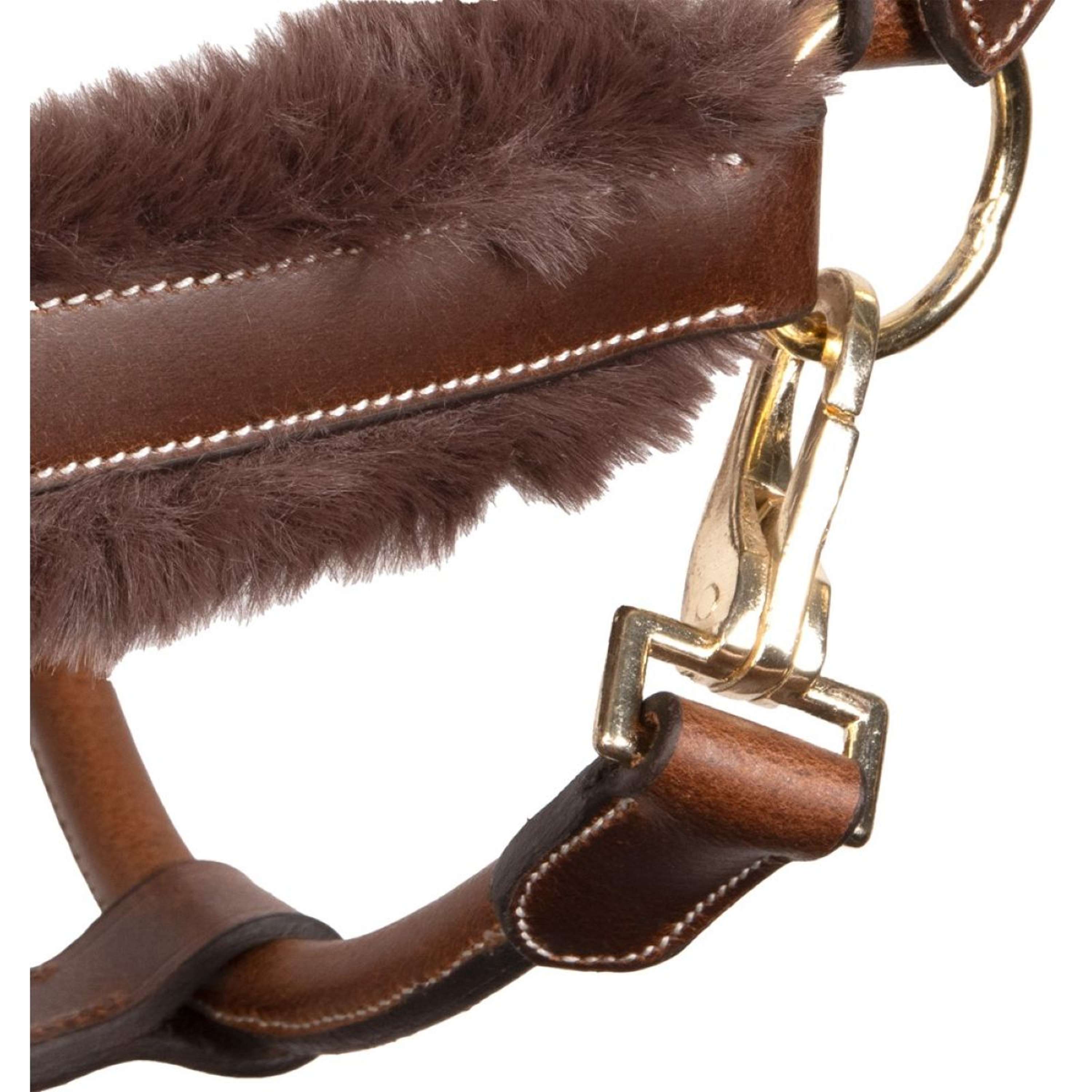 Harry's Horse Halter Leder Anatomic Furry Matt Brown