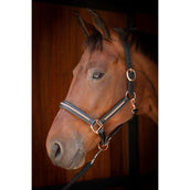 Harry's Horse Halter Leder Metallic Black/Rosegold