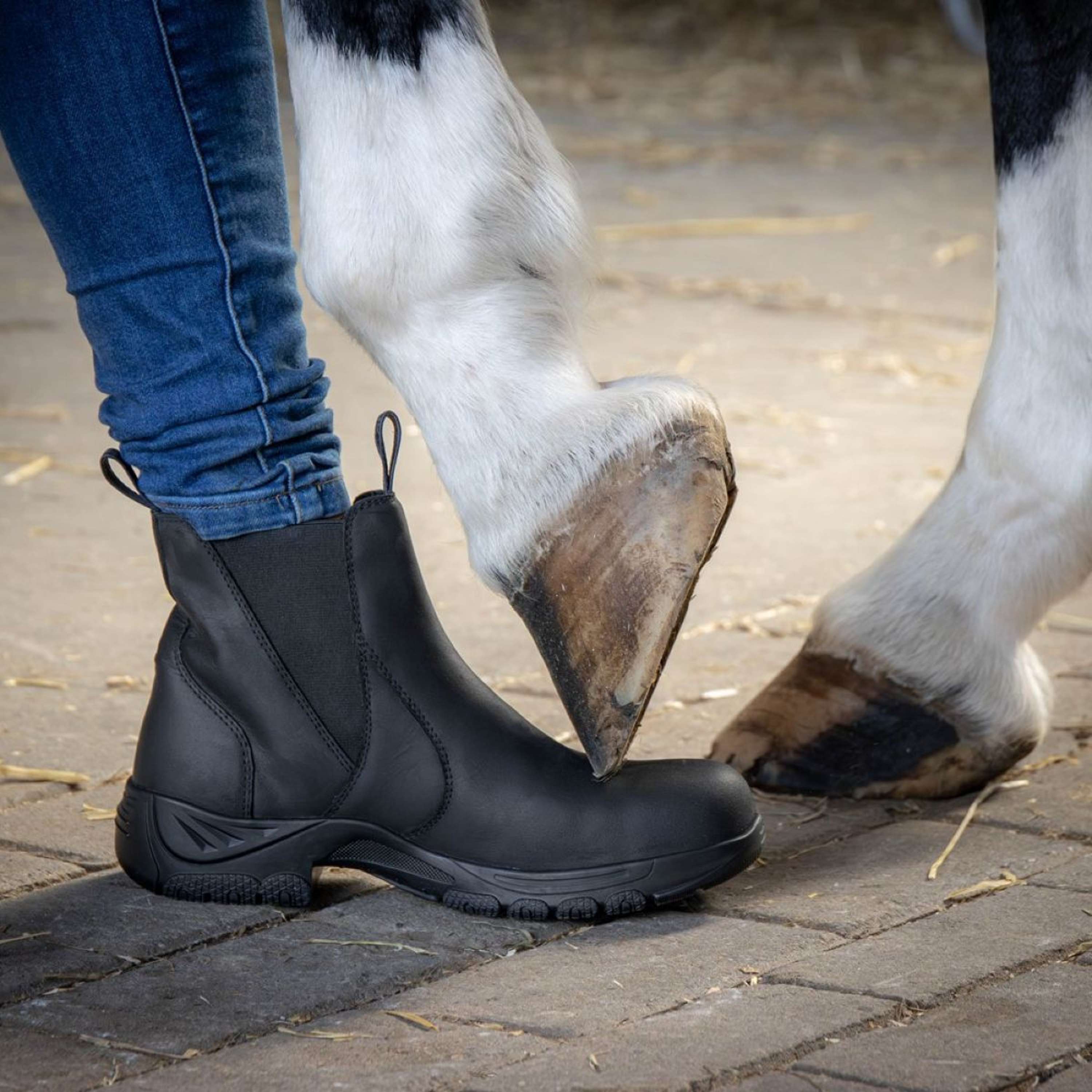 Harry's Horse Stable Boots Leder Safety Steel Toe Black