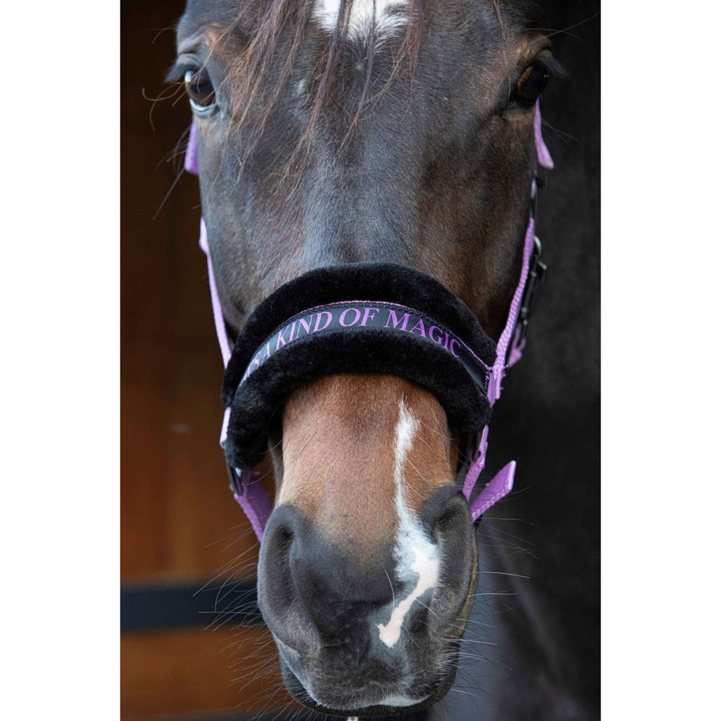 Harry's Horse Head Collar Lyrics Quotes Lila