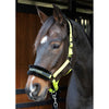 Harry's Horse Head Collar Lyrics Quotes Lime