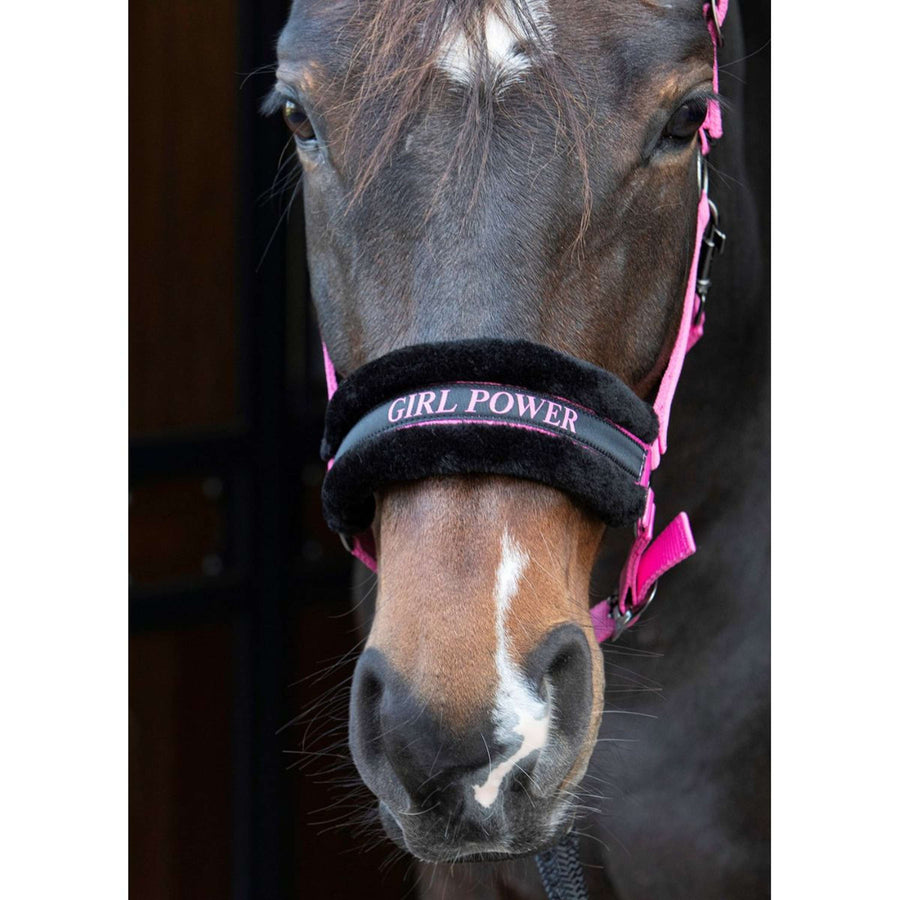 Harry's Horse Head Collar Lyrics Quotes Pink