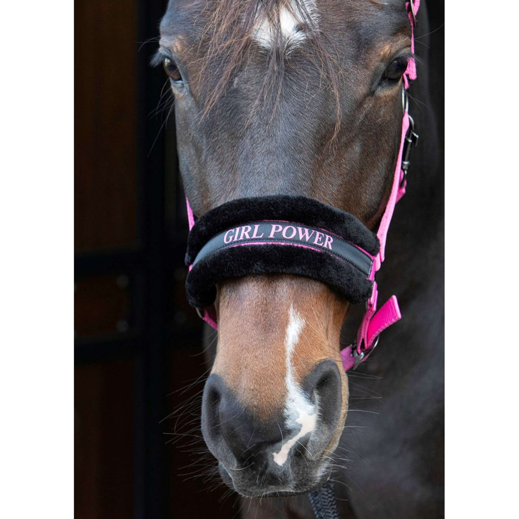 Harry's Horse Head Collar Lyrics Quotes Pink
