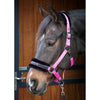 Harry's Horse Head Collar Lyrics Quotes Pink