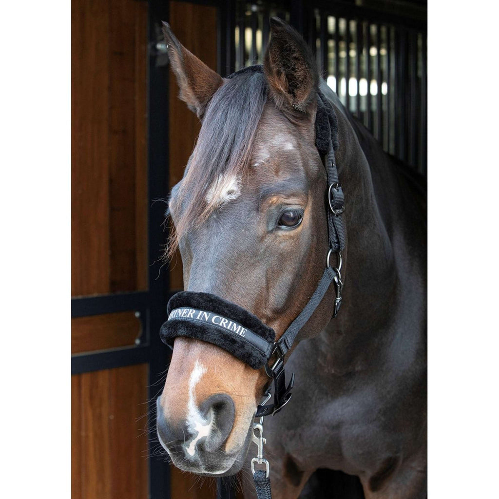 Harry's Horse Head Collar Lyrics Quotes Black