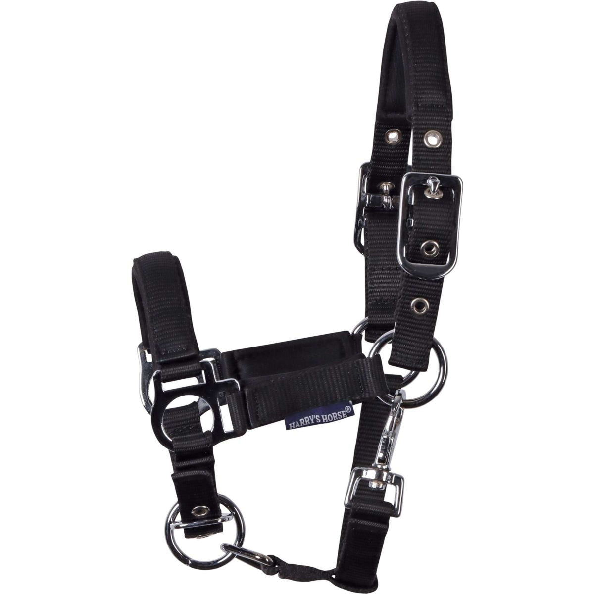 Harry's Horse Foal Halter Padded Black