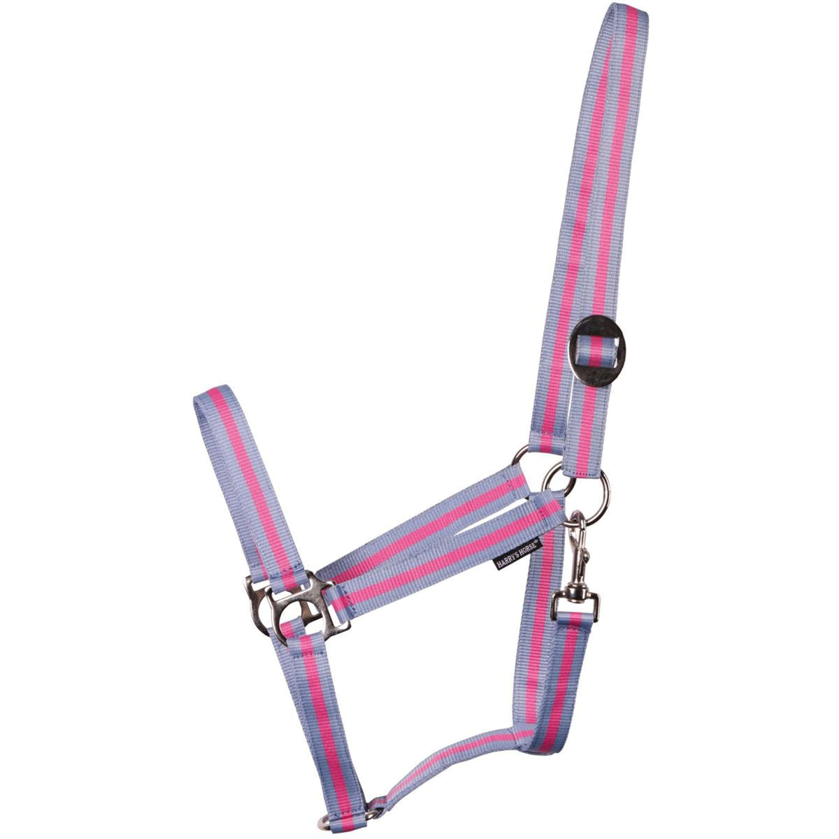 Harry's Horse Halter Economy Light blue/Pink/Light Blue