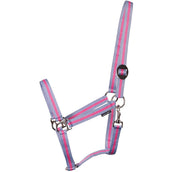 Harry's Horse Halter Economy Light blue/Pink/Light Blue