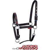 Harry's Horse Head Collar Set STOUT! Coral Black