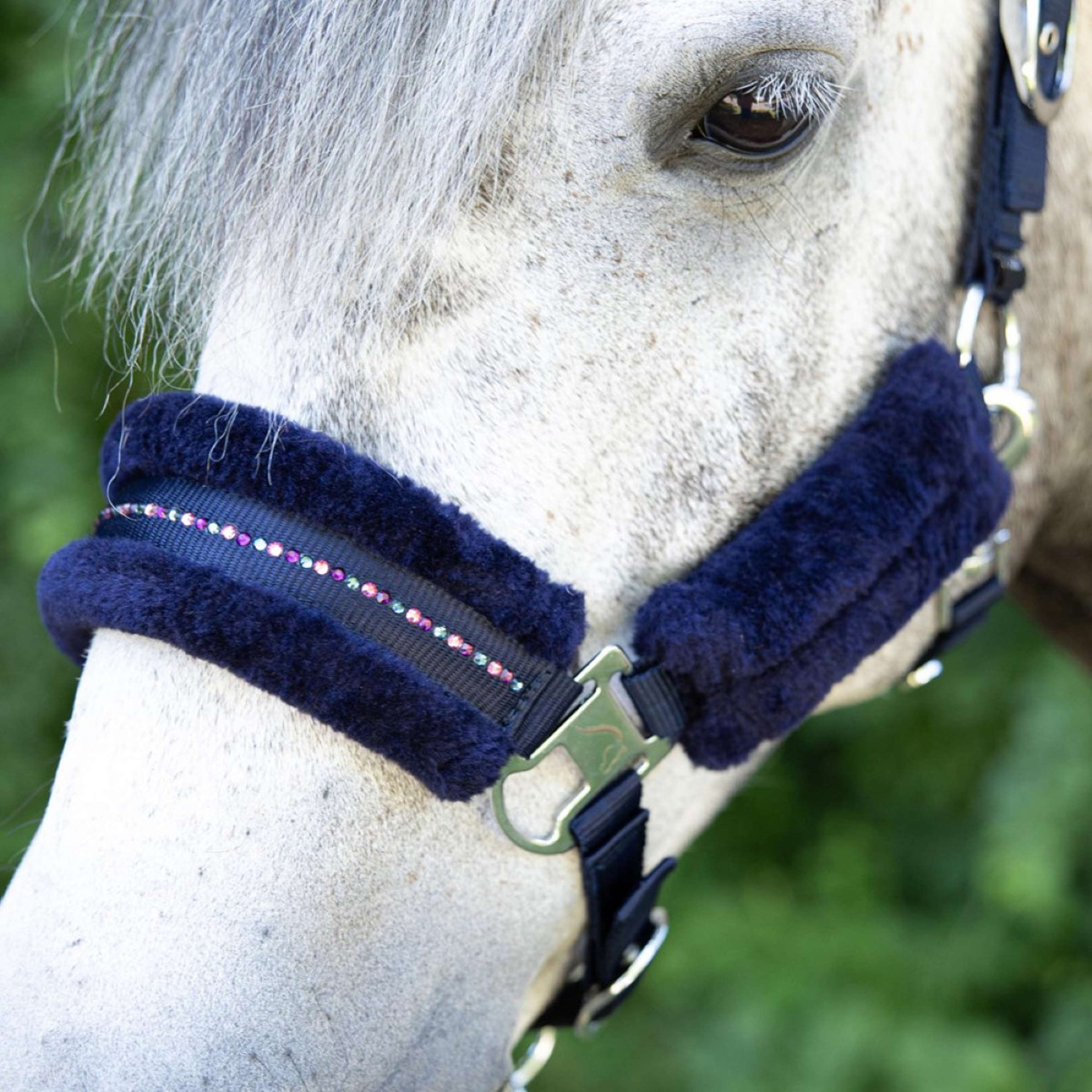 Harry's Horse Halter Set Denici Cavalli Purple Passion Crystal Peacoat