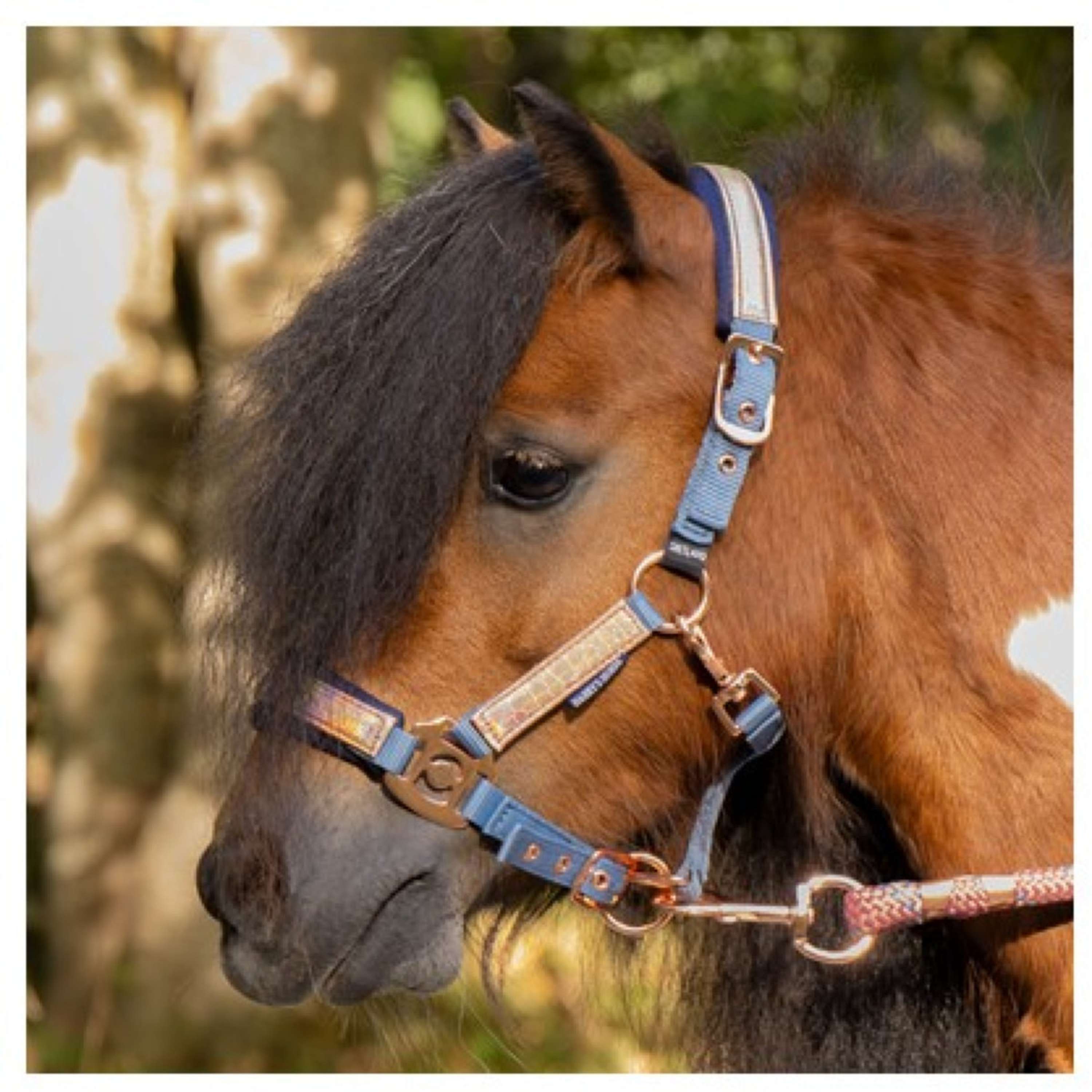 Harry's Horse Halter Set Diva Mauvewood Faded-Denim