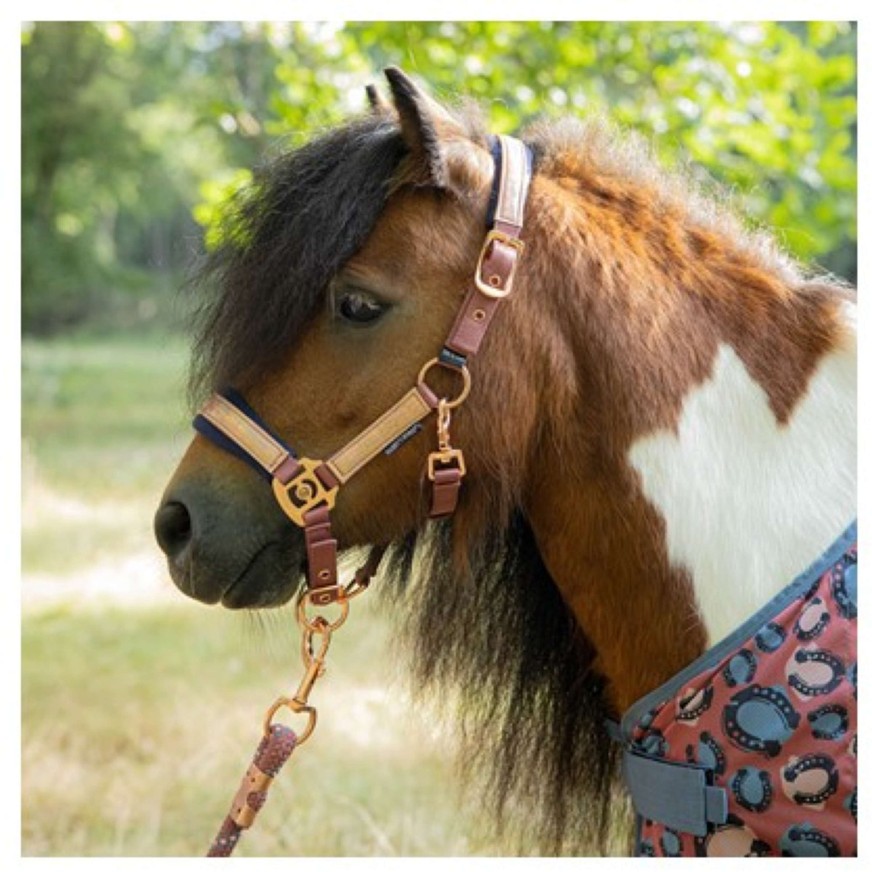 Harry's Horse Halter Set Diva Mauvewood Mauvewood