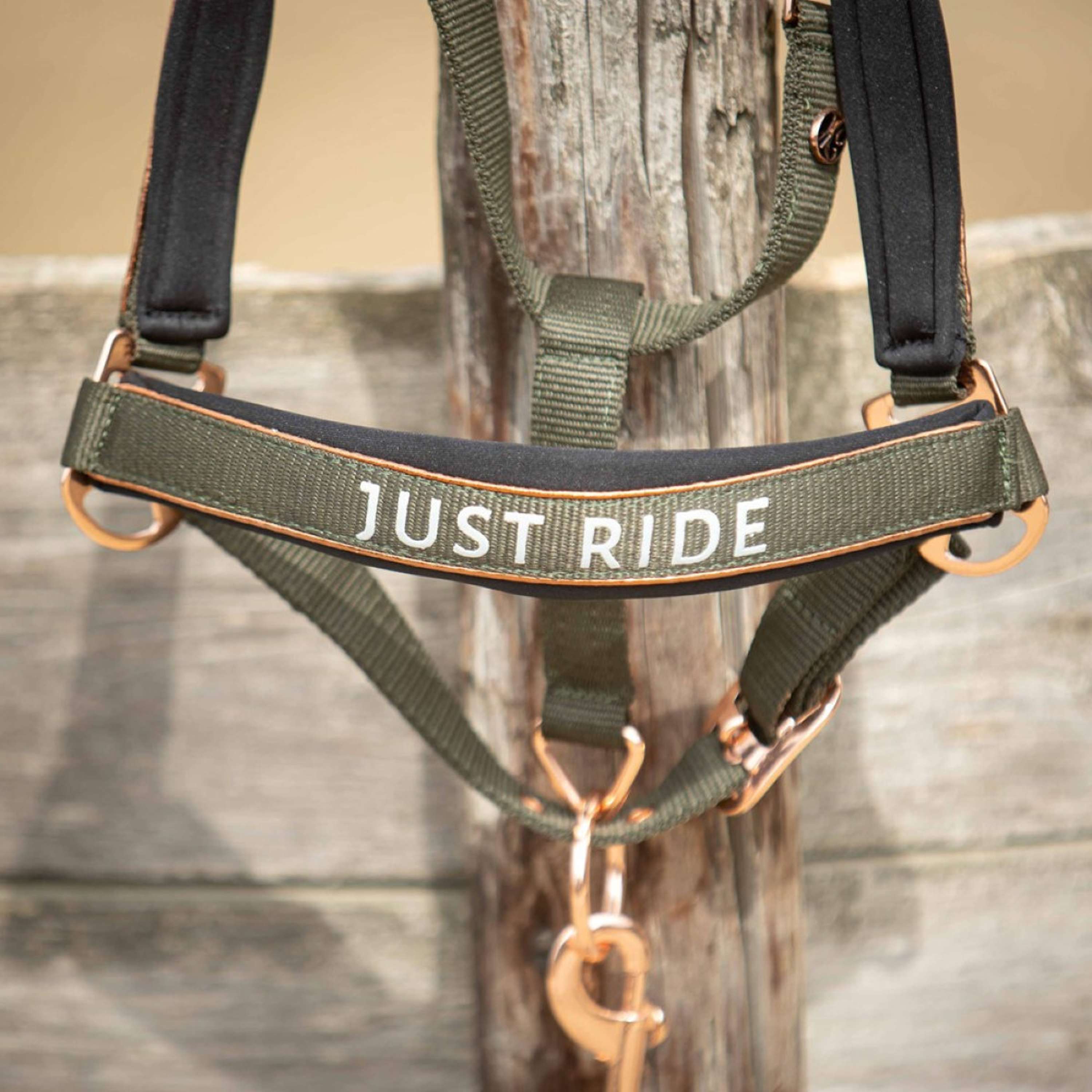 Harry's Horse Halter Set Just Ride Summer Chique Kambaba