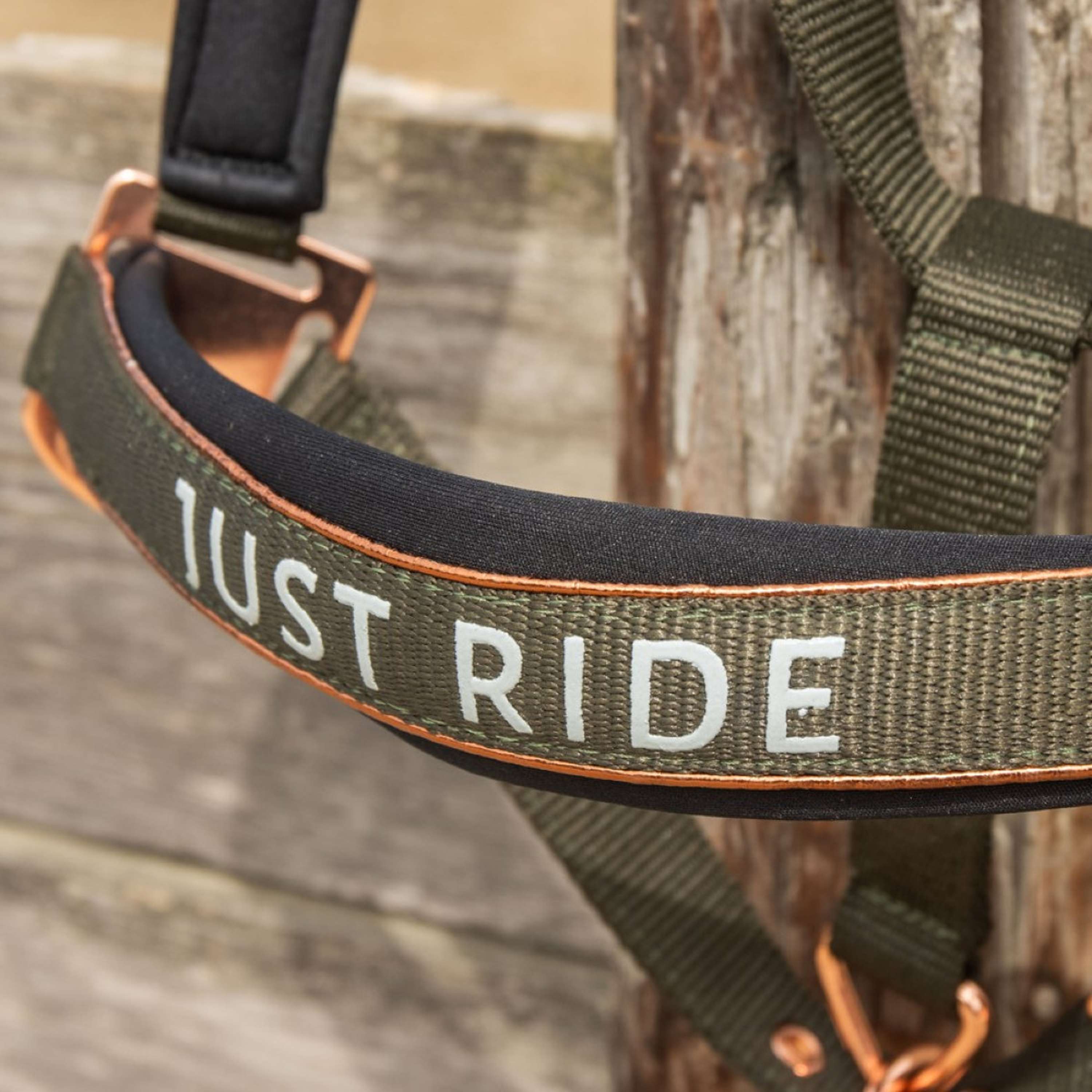 Harry's Horse Halter Set Just Ride Summer Chique Kambaba